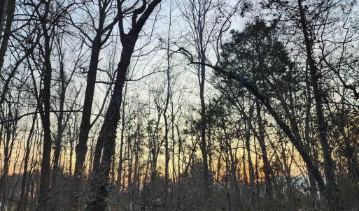 Photo #8 of NEW MARKET RD, HENRICO, VA 2.9 acres