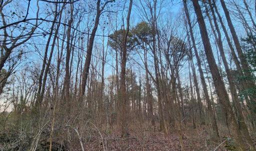 Photo #9 of NEW MARKET RD, HENRICO, VA 2.9 acres