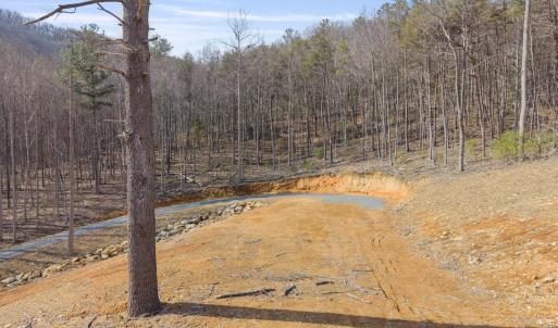 Photo #12 of 48 acres BLACKWELLS HOLLOW RD, CROZET, VA 48.5 acres