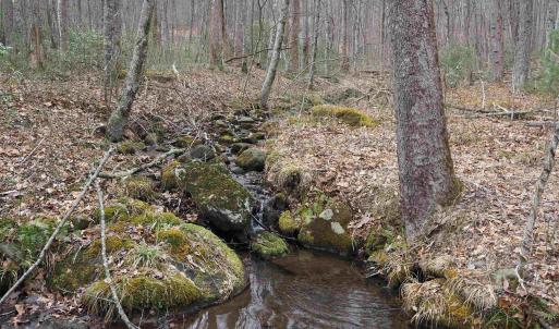 Photo #17 of 48 acres BLACKWELLS HOLLOW RD, CROZET, VA 48.5 acres
