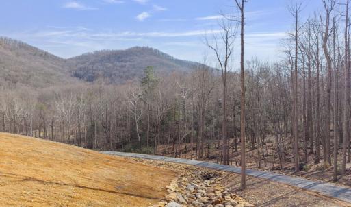 Photo #13 of 48 acres BLACKWELLS HOLLOW RD, CROZET, VA 48.5 acres