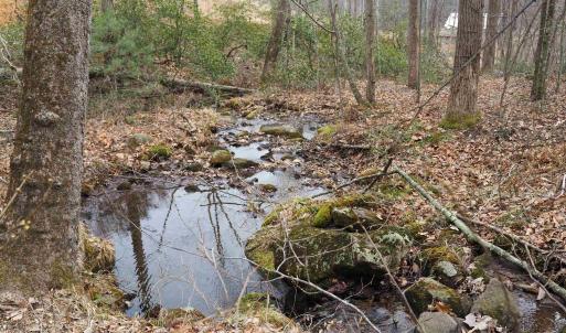 Photo #18 of 48 acres BLACKWELLS HOLLOW RD, CROZET, VA 48.5 acres