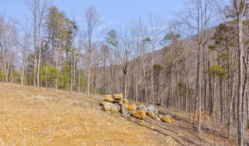 Photo #11 of 48 acres BLACKWELLS HOLLOW RD, CROZET, VA 48.5 acres