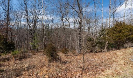 Photo #10 of TBD BEN LYONS LN, LYNDHURST, VA 5.7 acres