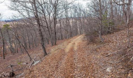 Photo #20 of TBD BEN LYONS LN, LYNDHURST, VA 5.7 acres