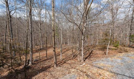Photo #7 of TBD BEN LYONS LN, LYNDHURST, VA 5.7 acres