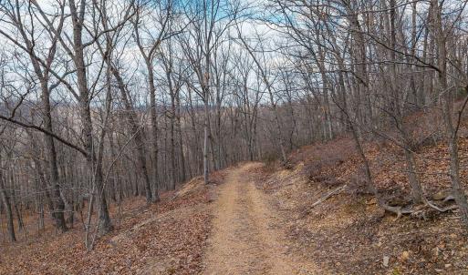 Photo #21 of TBD BEN LYONS LN, LYNDHURST, VA 5.7 acres