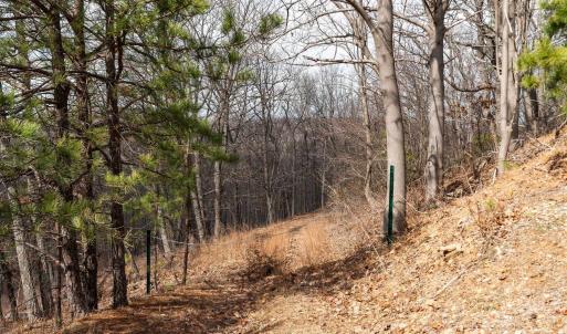 Photo #14 of TBD BEN LYONS LN, LYNDHURST, VA 5.7 acres