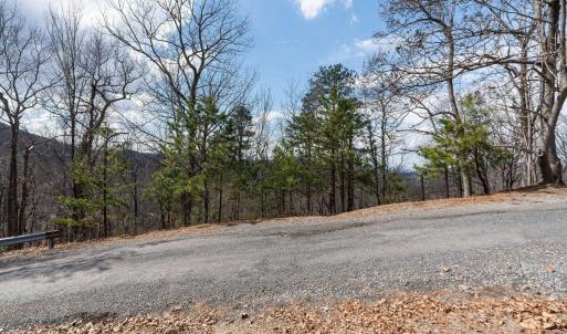 Photo #12 of TBD BEN LYONS LN, LYNDHURST, VA 5.7 acres