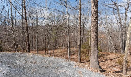 Photo #4 of TBD BEN LYONS LN, LYNDHURST, VA 5.7 acres