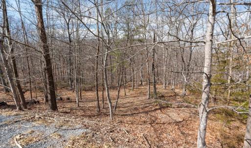 Photo #6 of TBD BEN LYONS LN, LYNDHURST, VA 5.7 acres
