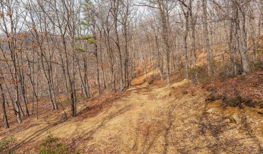 Photo #23 of TBD BEN LYONS LN, LYNDHURST, VA 5.7 acres