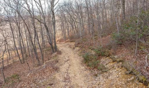 Photo #22 of TBD BEN LYONS LN, LYNDHURST, VA 5.7 acres