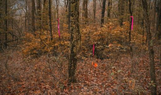 Photo #6 of Lot 47 FETTERBUSH LN, HINTON, VA 3.9 acres