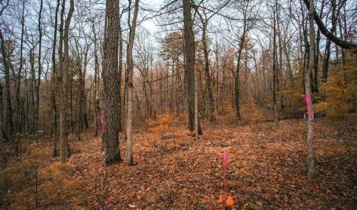 Photo #12 of Lot 47 FETTERBUSH LN, HINTON, VA 3.9 acres