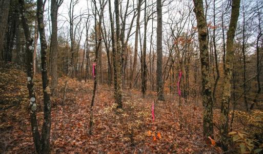 Photo #7 of Lot 47 FETTERBUSH LN, HINTON, VA 3.9 acres