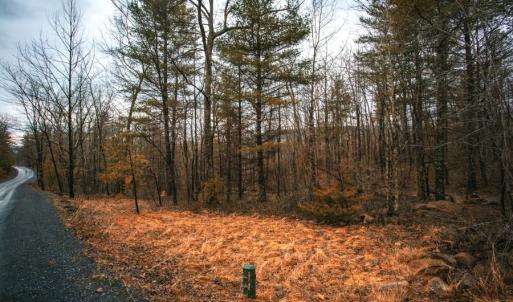 Photo #10 of Lot 47 FETTERBUSH LN, HINTON, VA 3.9 acres