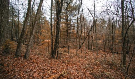 Photo #9 of Lot 47 FETTERBUSH LN, HINTON, VA 3.9 acres