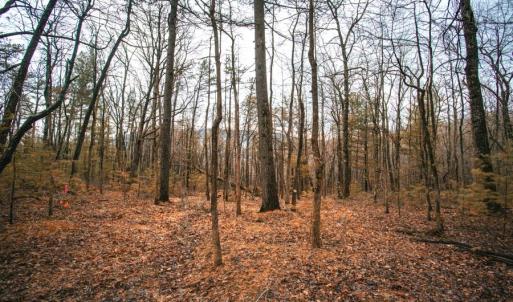 Photo #13 of Lot 47 FETTERBUSH LN, HINTON, VA 3.9 acres