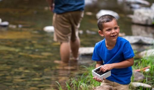 Fishing Dry River in the Highlands of Rawley Springs Hinton, VA