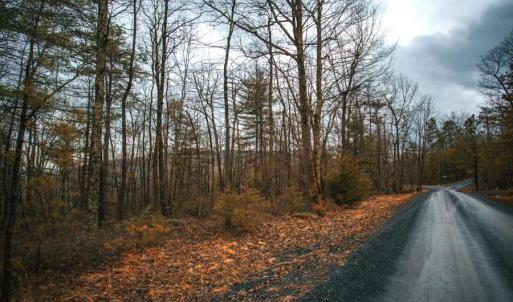 Photo #4 of Lot 47 FETTERBUSH LN, HINTON, VA 3.9 acres