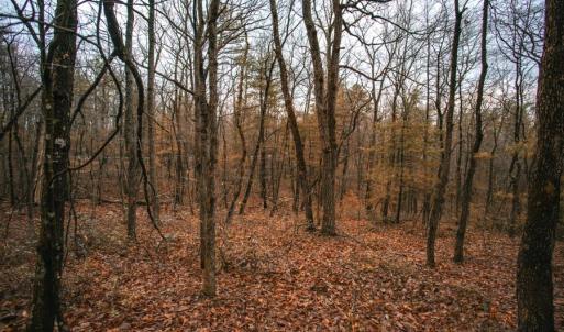 Photo #8 of Lot 47 FETTERBUSH LN, HINTON, VA 3.9 acres