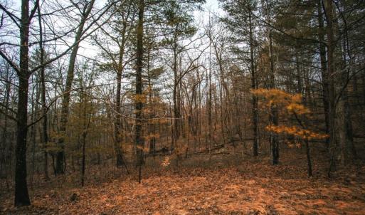 Photo #11 of Lot 47 FETTERBUSH LN, HINTON, VA 3.9 acres