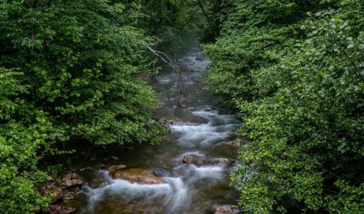 Photo #1 of Lot 47 FETTERBUSH LN, HINTON, VA 3.9 acres