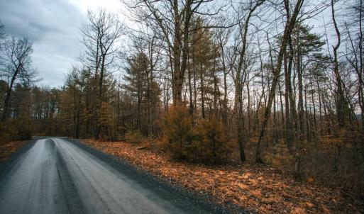 Photo #3 of Lot 47 FETTERBUSH LN, HINTON, VA 3.9 acres