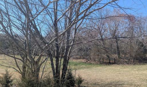 Photo #4 of GOLDFINCH CT, SCOTTSVILLE, VA 6.8 acres