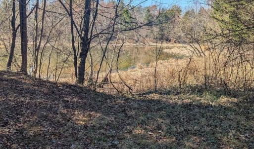 Photo #1 of GOLDFINCH CT, SCOTTSVILLE, VA 6.8 acres