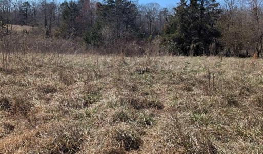 Photo #12 of GOLDFINCH CT, SCOTTSVILLE, VA 6.8 acres