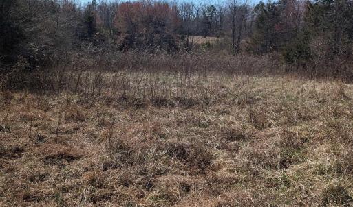 Photo #13 of GOLDFINCH CT, SCOTTSVILLE, VA 6.8 acres