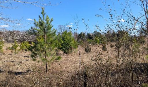 Photo #16 of GOLDFINCH CT, SCOTTSVILLE, VA 6.8 acres