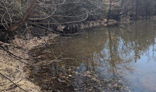 Photo #9 of GOLDFINCH CT, SCOTTSVILLE, VA 6.8 acres