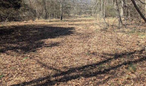 Photo #7 of GOLDFINCH CT, SCOTTSVILLE, VA 6.8 acres