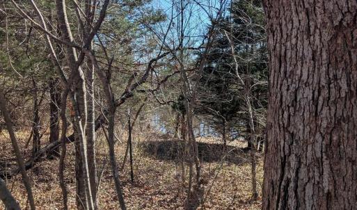 Photo #15 of GOLDFINCH CT, SCOTTSVILLE, VA 6.8 acres