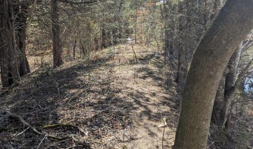 Photo #11 of GOLDFINCH CT, SCOTTSVILLE, VA 6.8 acres