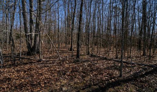 Photo #18 of TBD KEMBLE SPRING LN, ELKTON, VA 4.0 acres