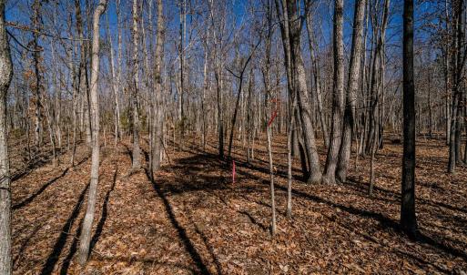 Photo #23 of TBD KEMBLE SPRING LN, ELKTON, VA 4.0 acres