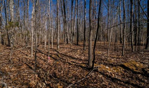 Photo #22 of TBD KEMBLE SPRING LN, ELKTON, VA 4.0 acres