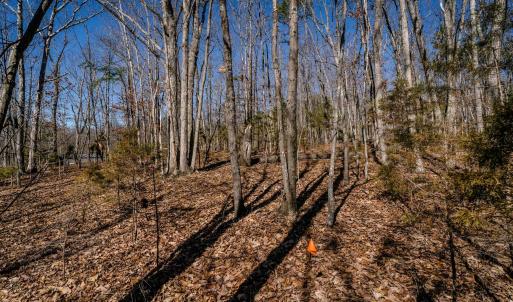 Photo #25 of TBD KEMBLE SPRING LN, ELKTON, VA 4.0 acres