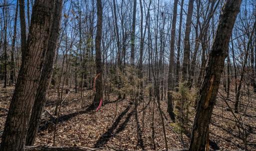 Photo #20 of TBD KEMBLE SPRING LN, ELKTON, VA 4.0 acres