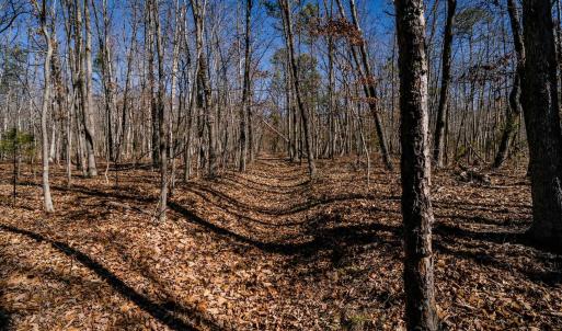 Photo #26 of TBD KEMBLE SPRING LN, ELKTON, VA 4.0 acres