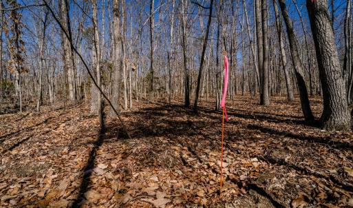 Photo #24 of TBD KEMBLE SPRING LN, ELKTON, VA 4.0 acres