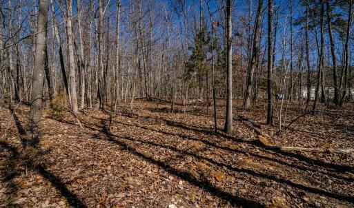 Photo #21 of TBD KEMBLE SPRING LN, ELKTON, VA 4.0 acres