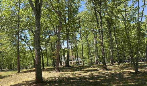 Photo #3 of NIBLICK LN, PALMYRA, VA 0.4 acres