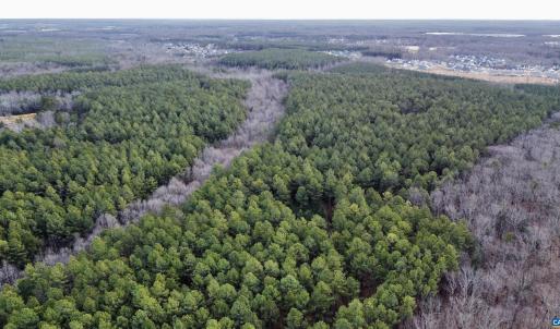 Photo #13 of GREEN SPRING RD, LOUISA, VA 246.0 acres