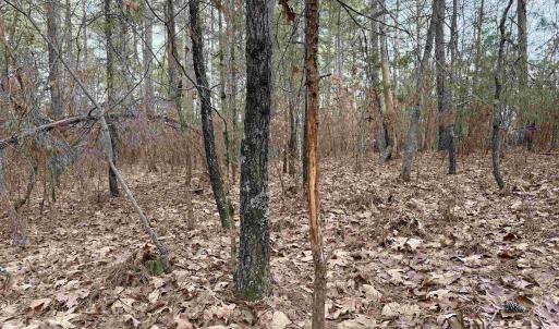 Photo #18 of GREEN SPRING RD, LOUISA, VA 246.0 acres