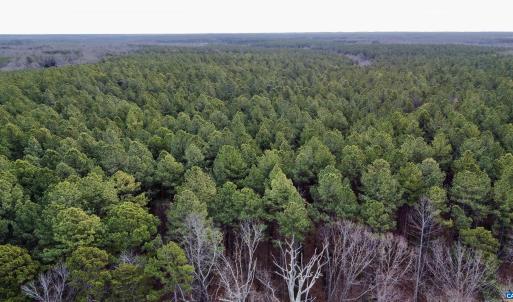Photo #11 of GREEN SPRING RD, LOUISA, VA 246.0 acres